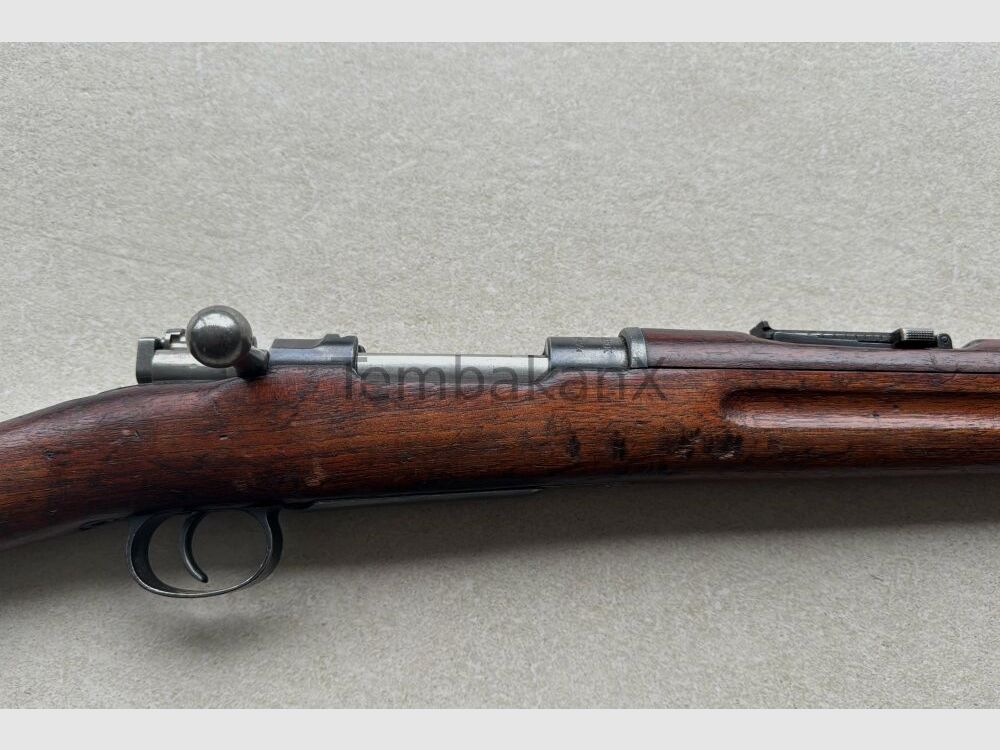 Mauser M96 Schweden Mauser 6,5x55SE