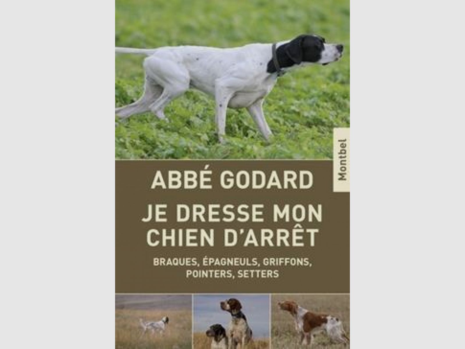 Ich trainiere meinen Vorstehhund