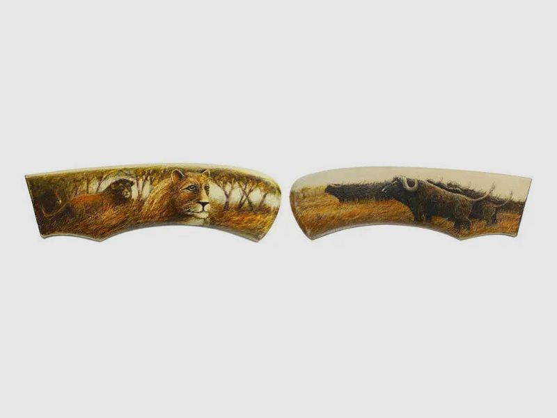 PUMA Lions and Cape Buffalos Unique