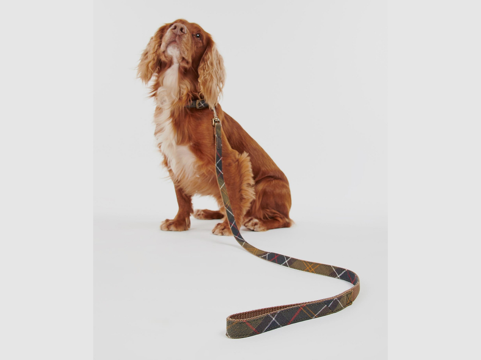 Correa para perro Barbour con patrón de tartán