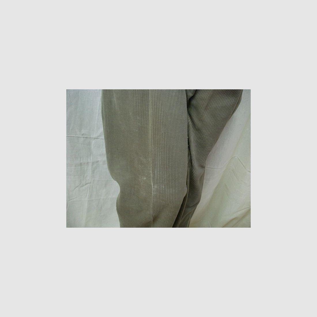 Parforce Cordhose Mod.296