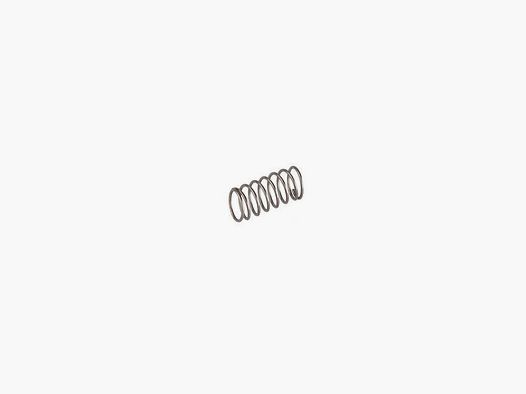 Petromax Spring Carburetor Valve HK150/HK250/HK350/HK500