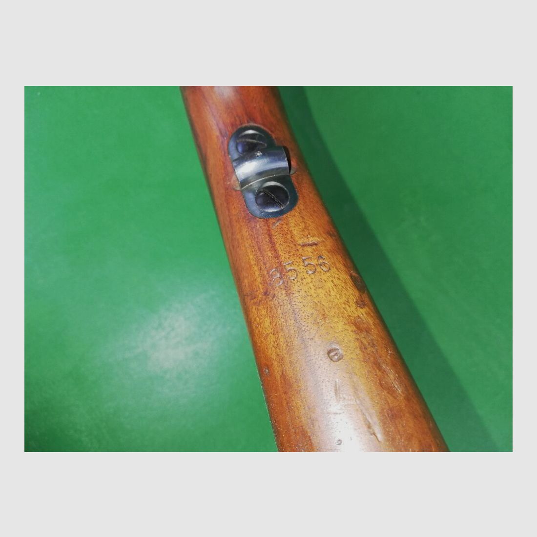 Brasilienmauser 1908