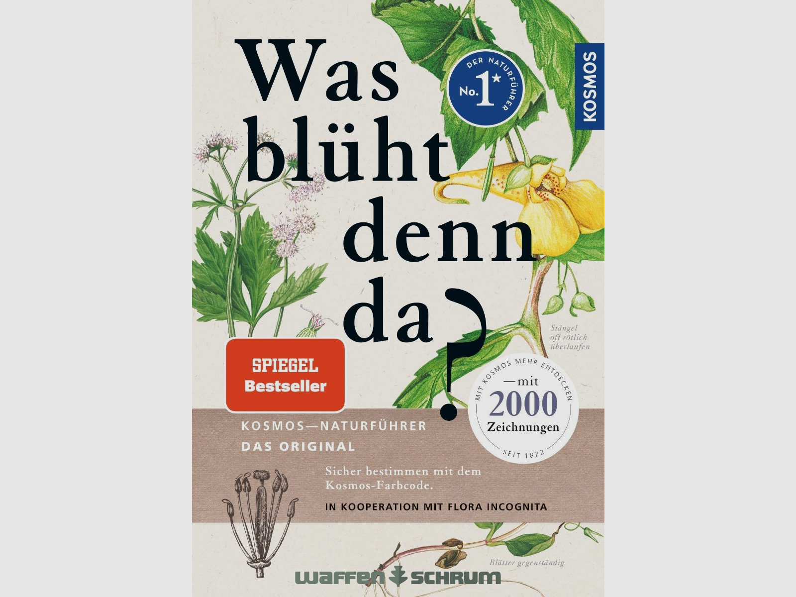 Kosmos Was blüht denn da? Margot Spohn