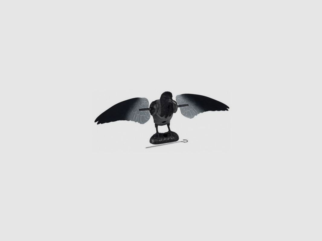 Crow with rotating wings German