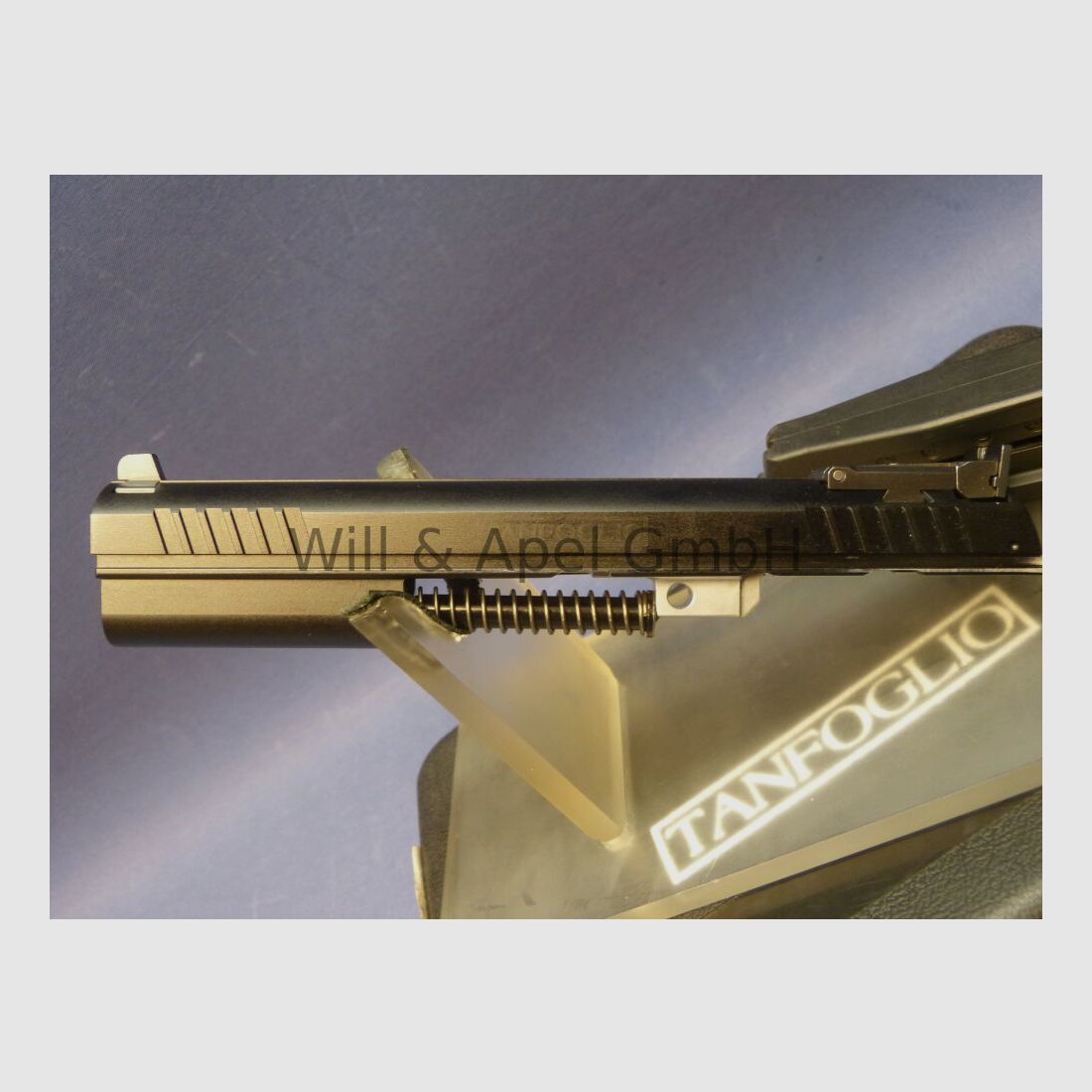 Tanfoglio interchangeable system P19