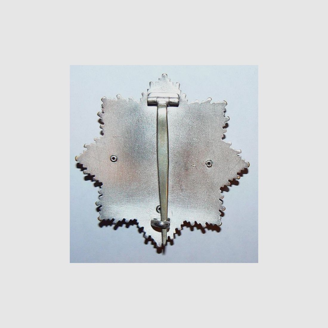 Deutsches Kreuz mit Etui aus Wk2 