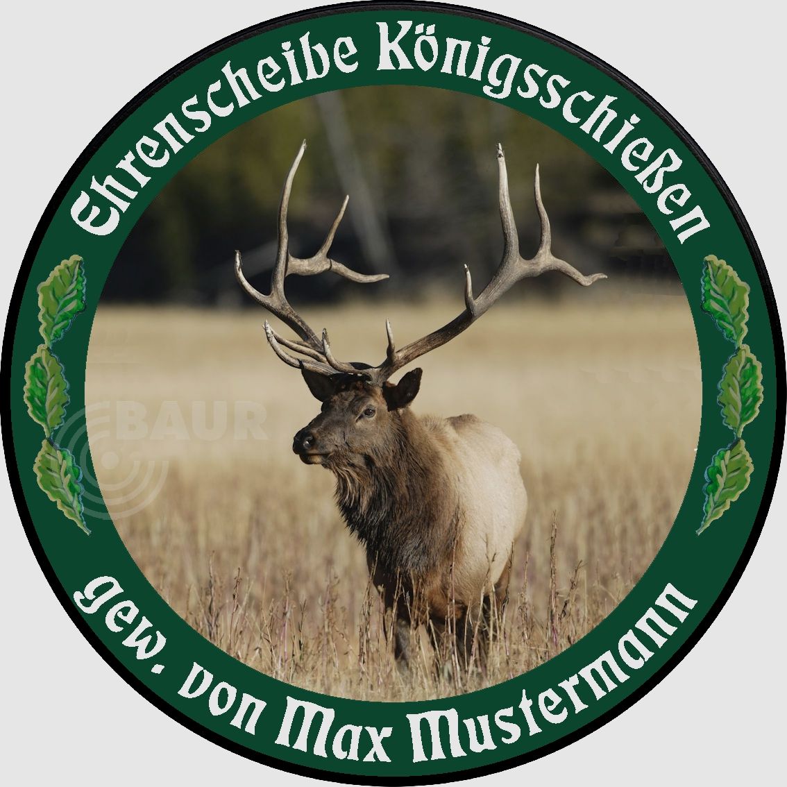 Schietschijf ECO-LINE Motief 206, afbeelding 1 van 6