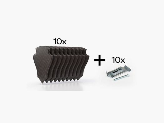 Pakket van 10 trofeeplaten 22x13 cm + 10 metalen standaards - Donker