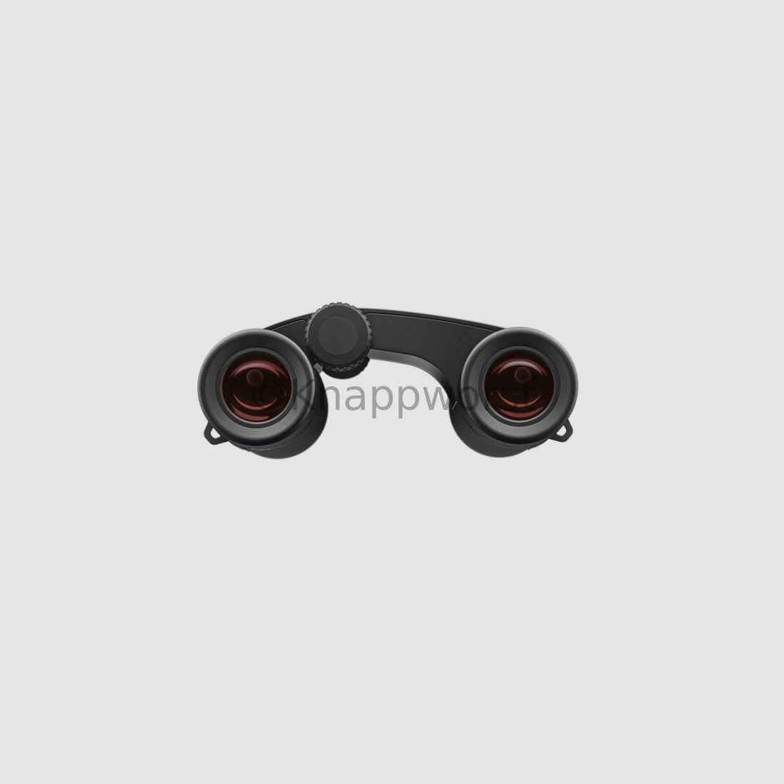 Zeiss Zeiss Victory Pocket 10x25 T*