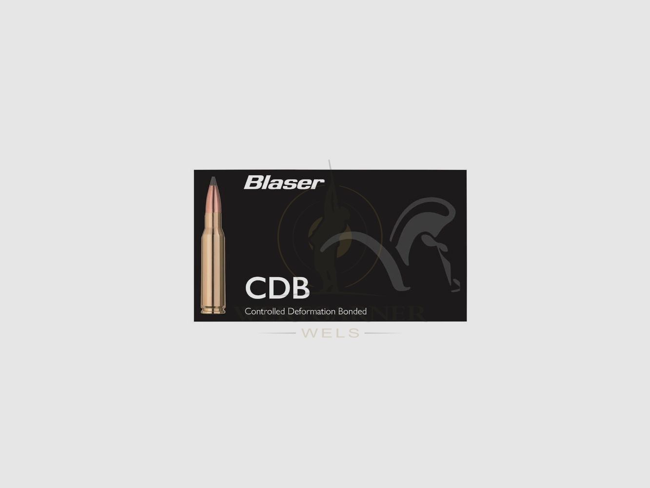 Blaser CDB Cal. .308 Win. 165gr, 20 ud./pkg.