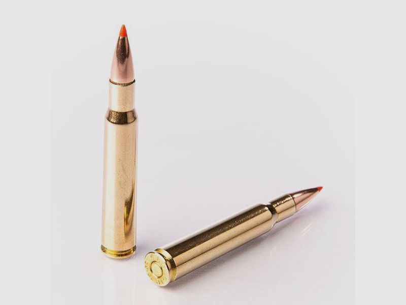 Fiocchi Büchsenmunition .30-06 Win EPN 150 gr, Bild 2 von 2