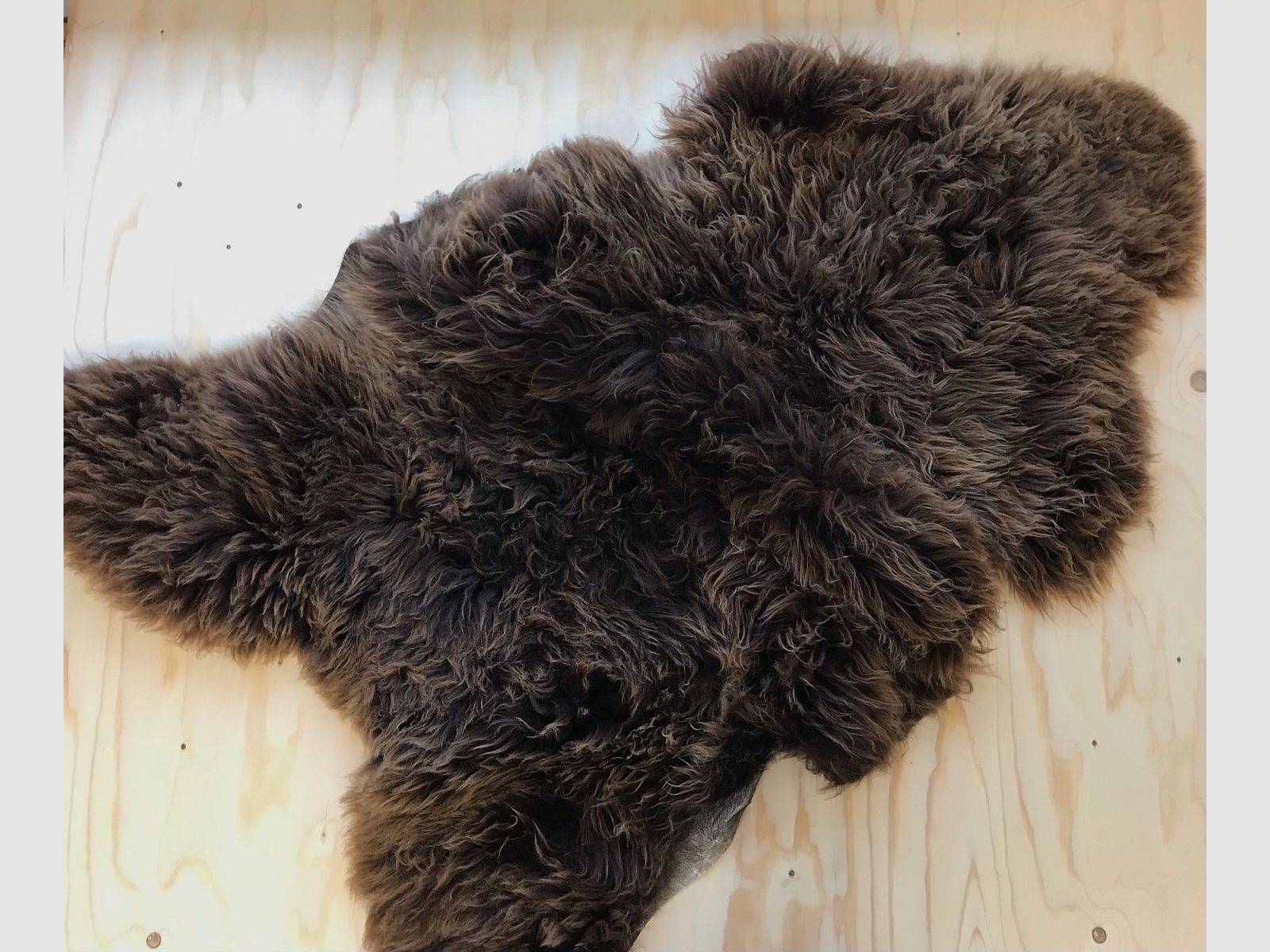 Sheepskin, image 2 of 3