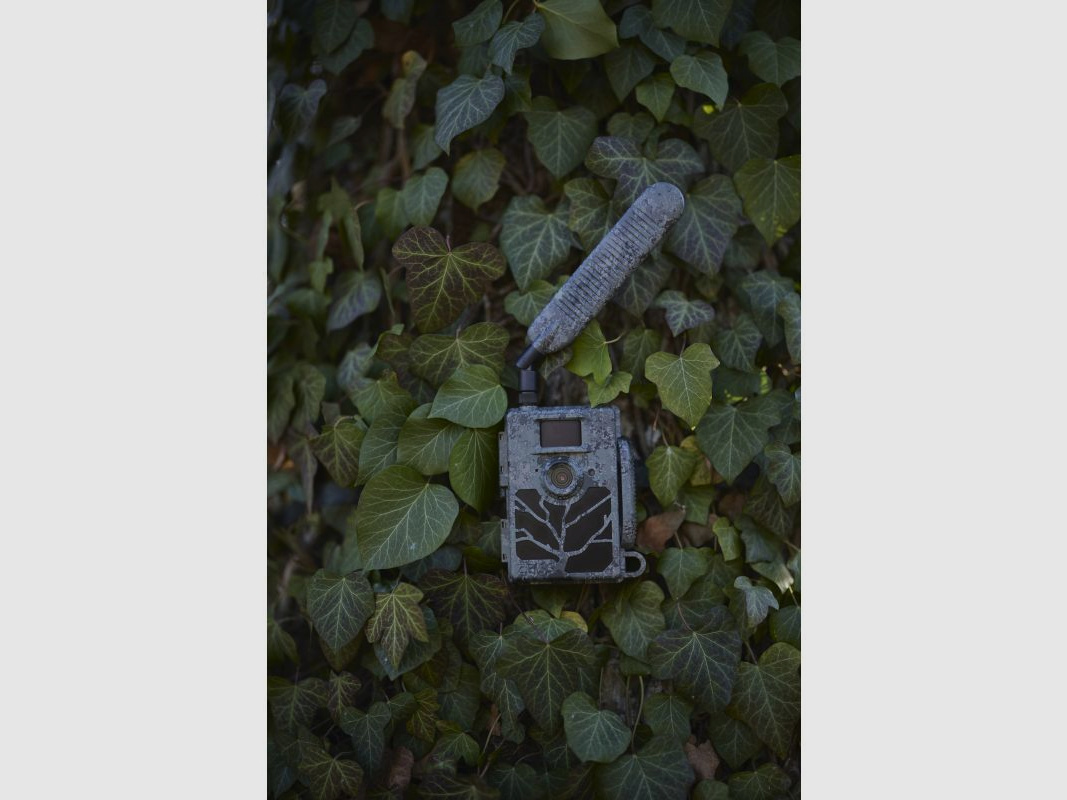 Zeiss Secacam 5 4er Bundle