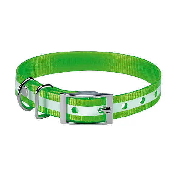 Collare rinforzato fosforescente Stepland 60 cm per cane, immagine 1 di 6