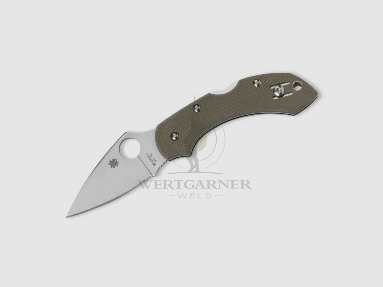 Spyderco Dragonfly G10 Foliage Green, Bild 1 von 2
