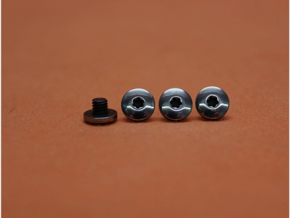 SIG Sauer SIG Sauer X-LINE: 4 Stück Griffschalenschraube Torx poliert (70001210)