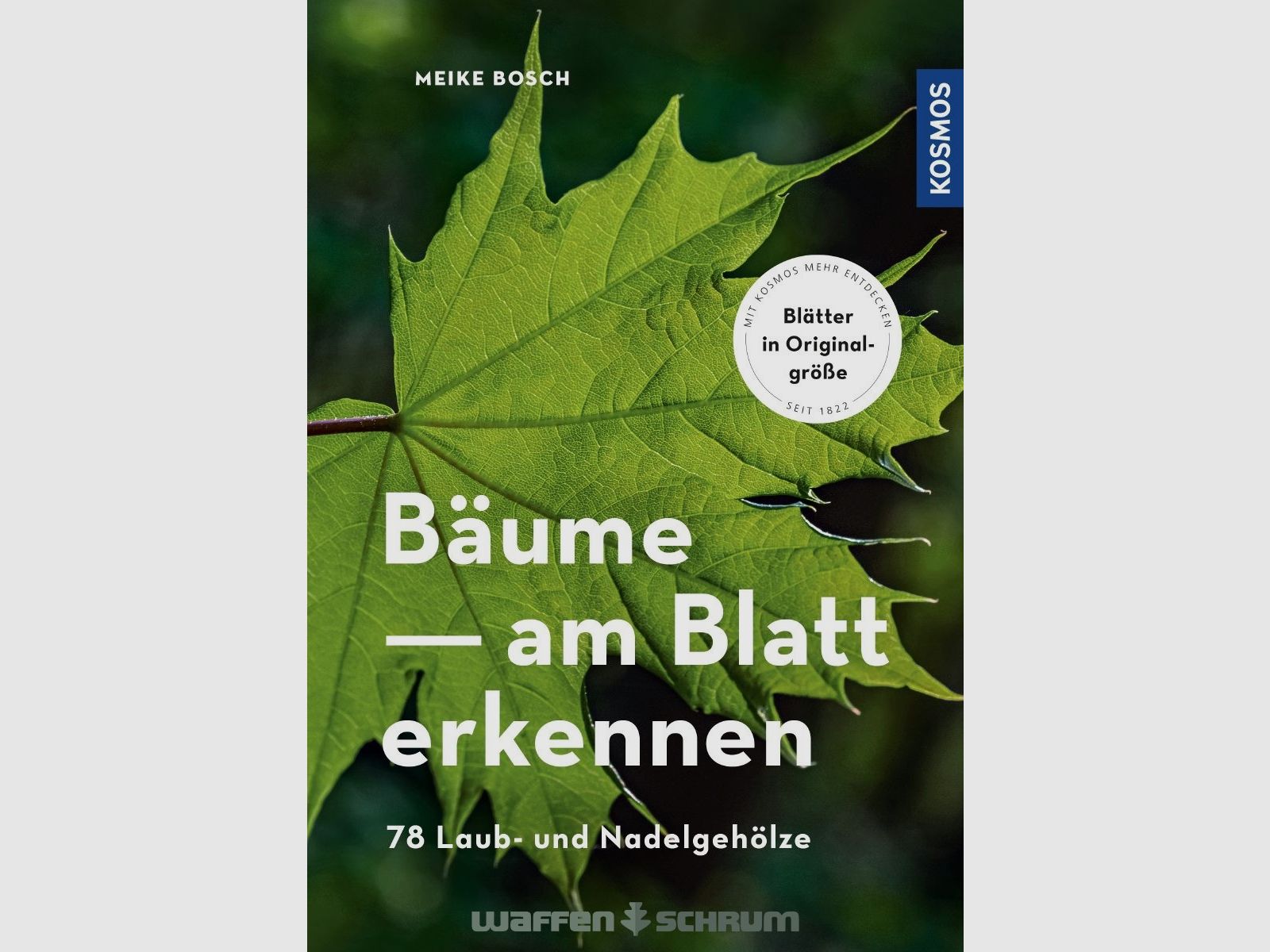 Kosmos Bäume am Blatt erkennen Meike Bosch