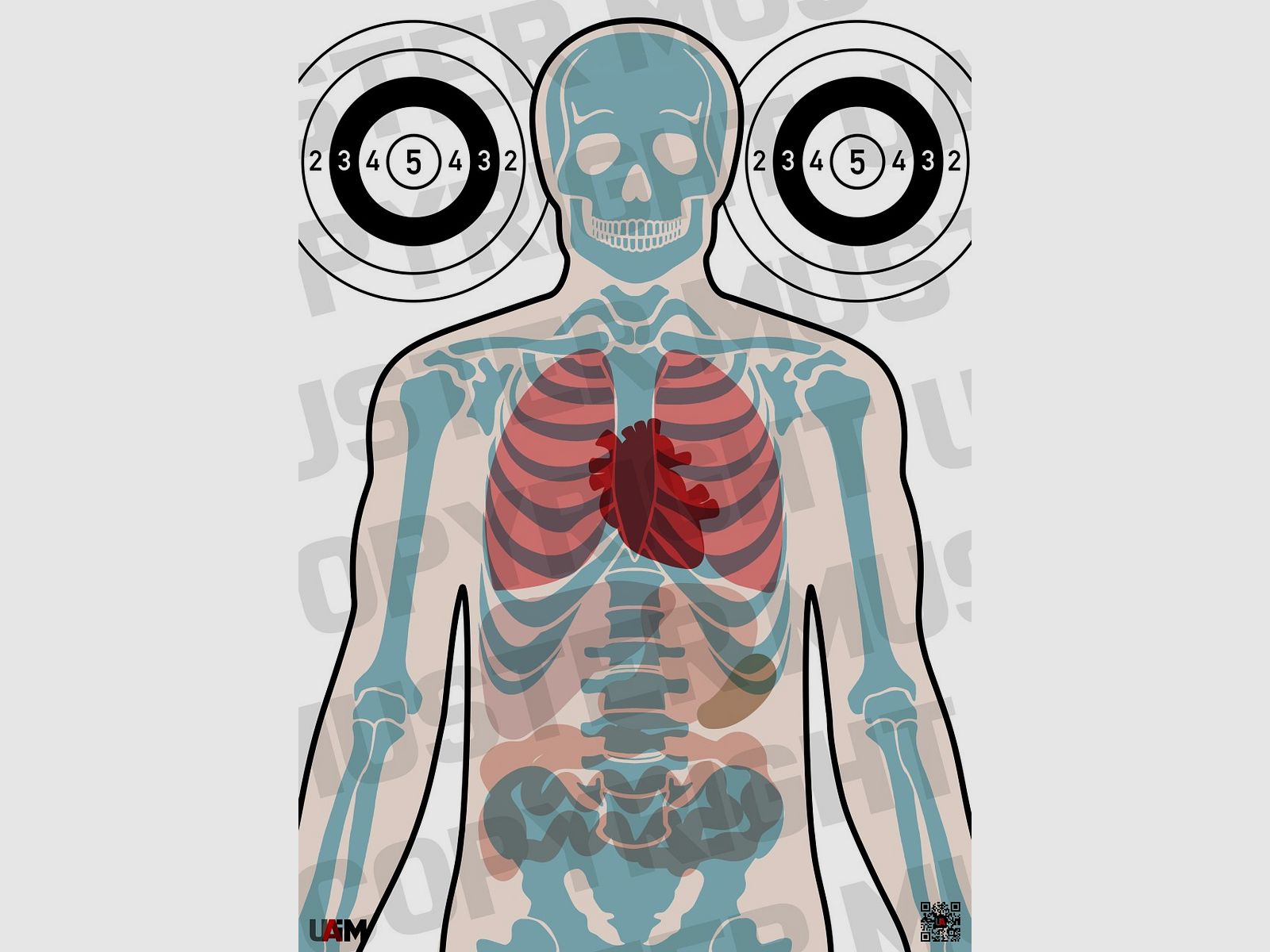 Anatomie Target DIN A1 Detaillierte Zielscheibe fr przises Training von B...