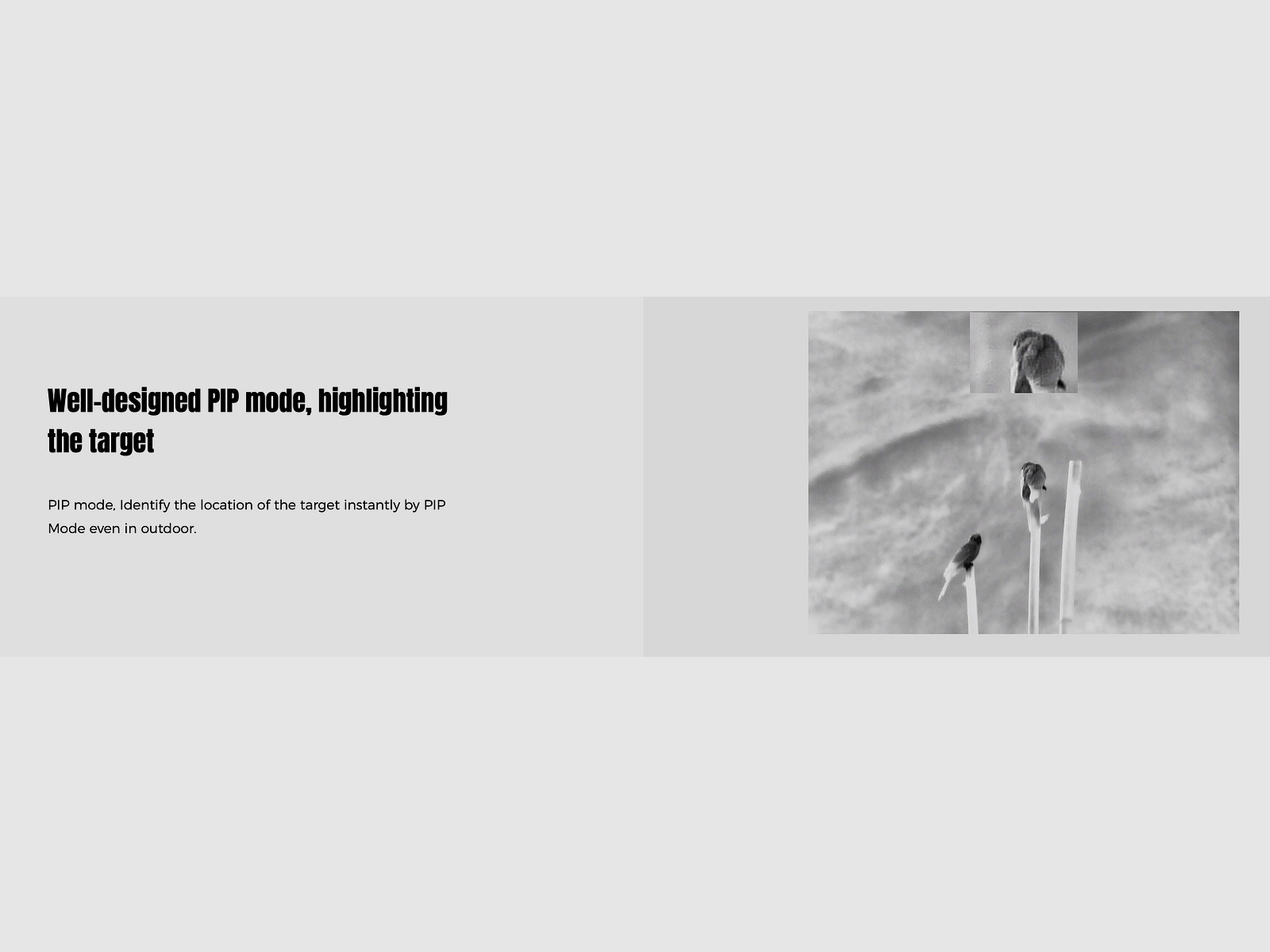 Guide Thermal Imaging Binoculars TN630 Handheld 640x480 Sensor