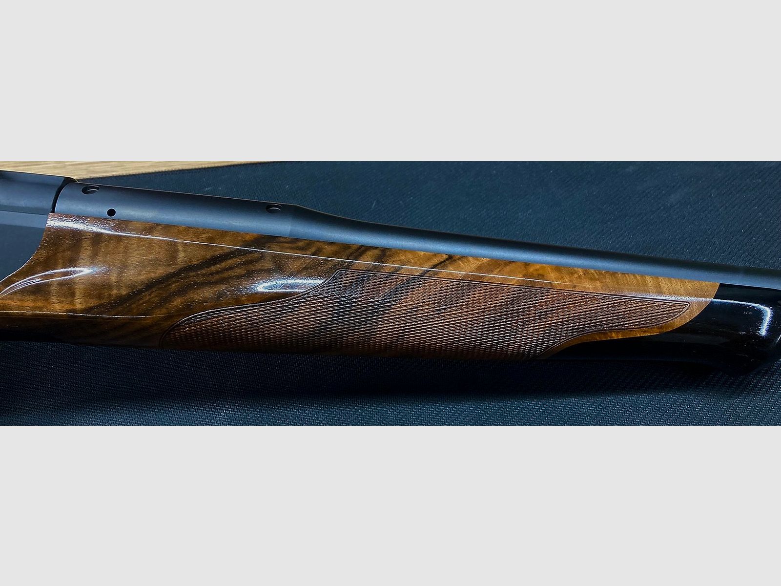 Blaser R8 Success