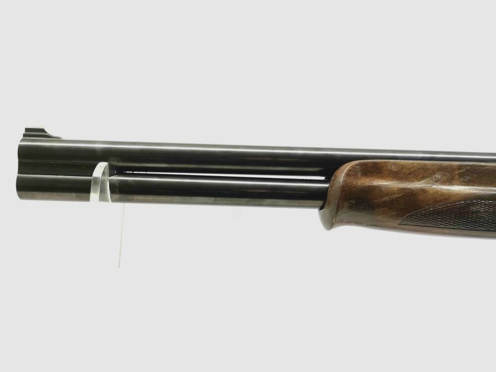 Foresta di Franconia Favorit Nera