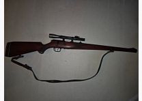 Carabine petit calibre