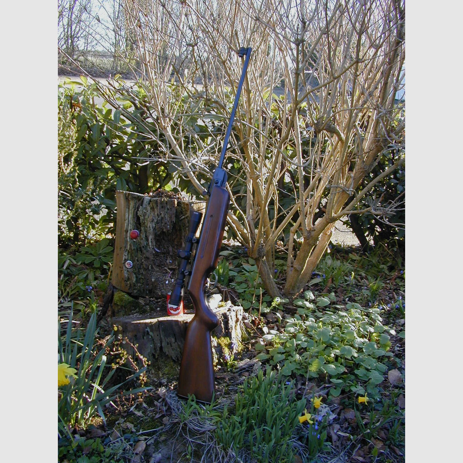 Luftgewehr Weihrauch HW35-Standard "stark und mit Zielfernrohr" (Top Zustand)