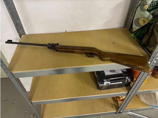 air rifle