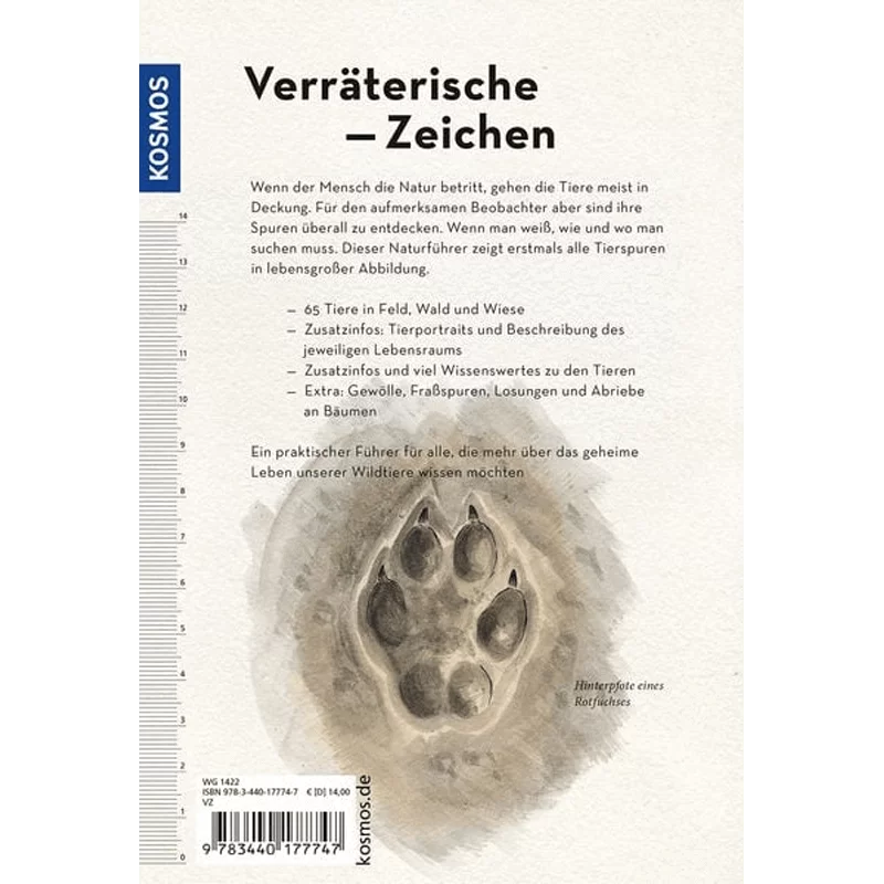 Buch „Tierspuren lebensgroß“, Bild 3 von 3