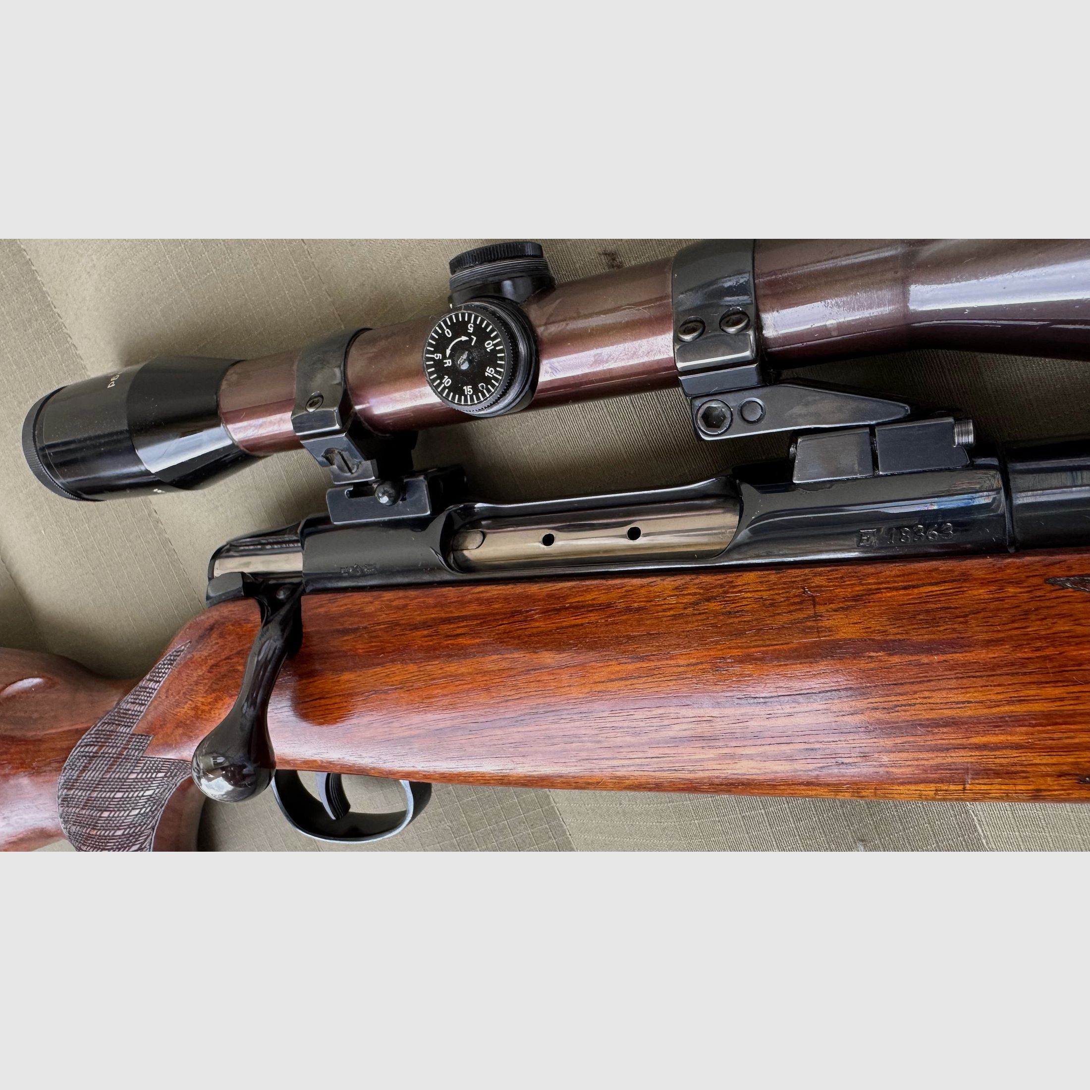 Sauer 80 in 243Win EAW mit ZF