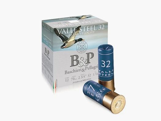 Baschieri & Pellagri Valle Steel HV32 3,1mm à25 12/70