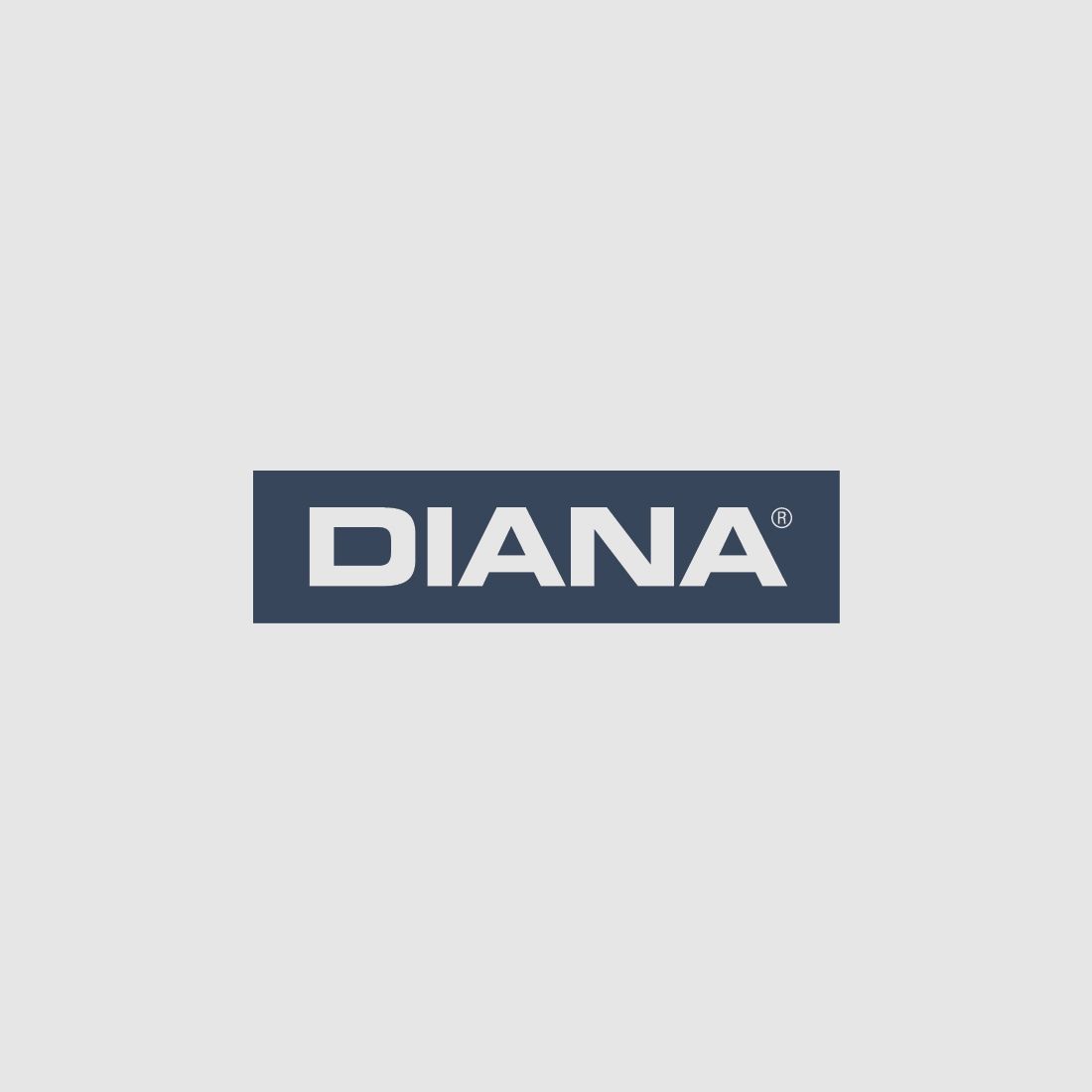 Diana Kapsel- Druckluft 200 bar – Aluminium – für P1000 und P1000 Evo²