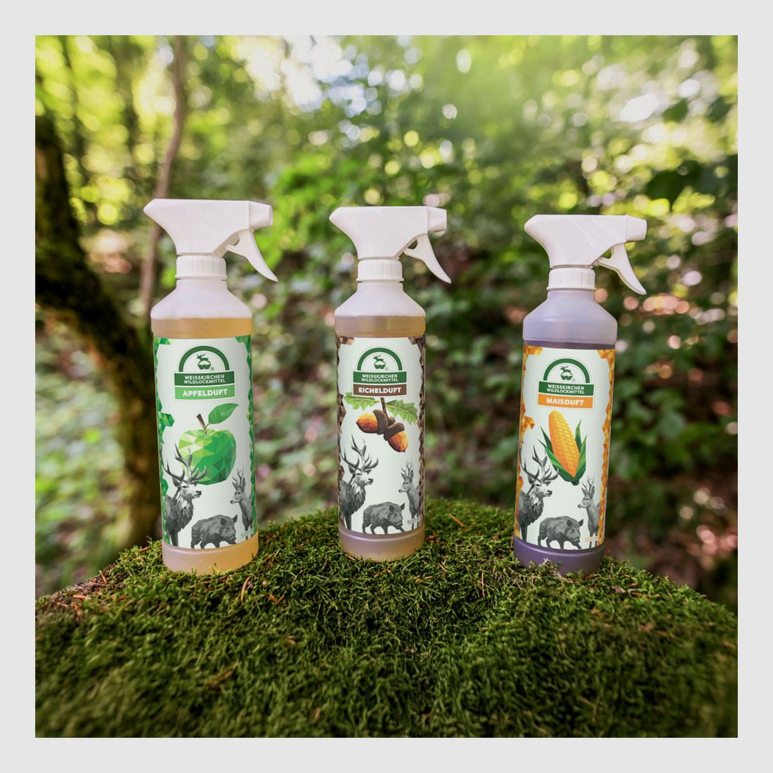 EUROHUNT Attrattivo Odore di Ghianda 500 ml - Esca Olfattiva Cinghiale, immagine 4 di 4