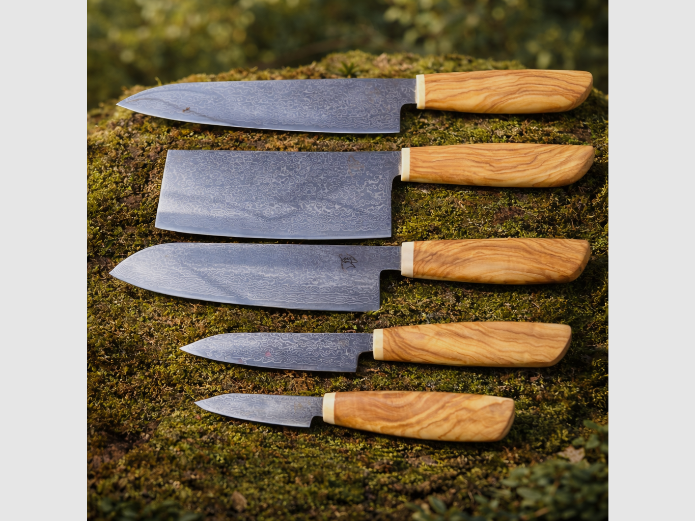AAR Knive Cheff 21 Kniv, billede 2 af 2