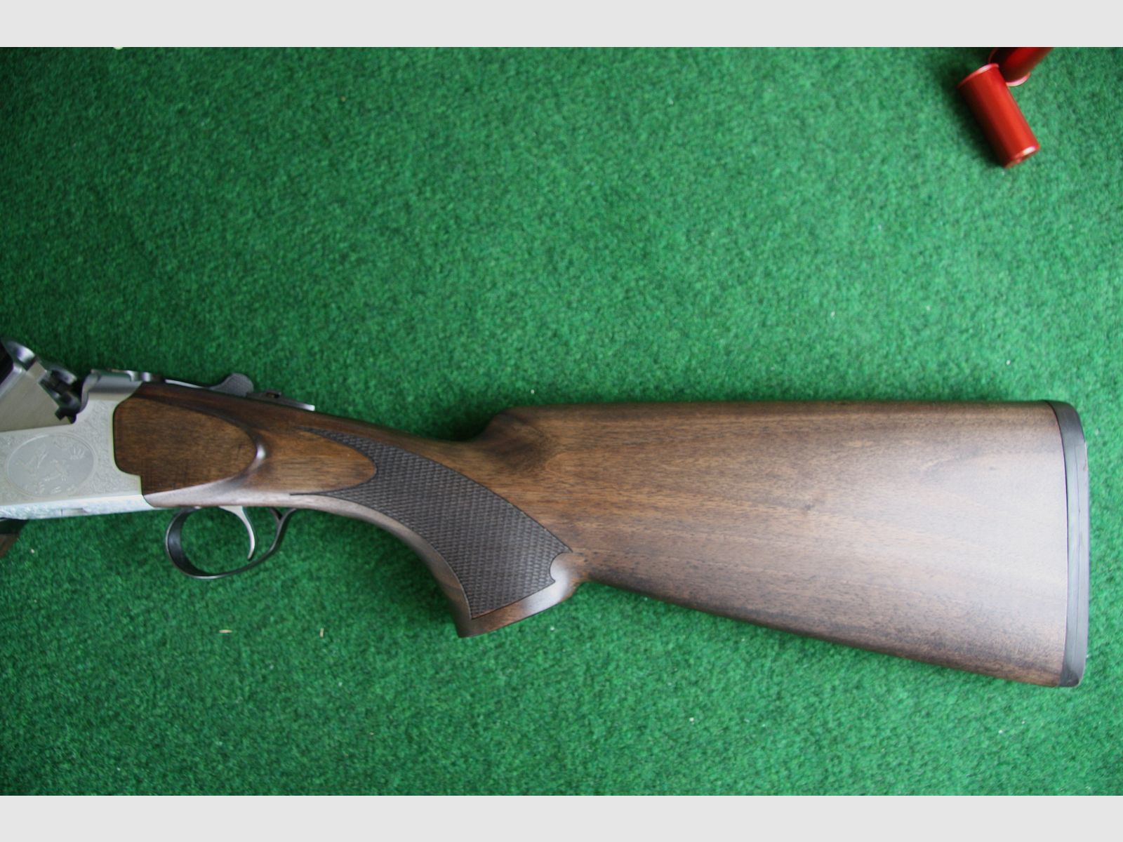 Forest Favorite 12 /76 71 cm