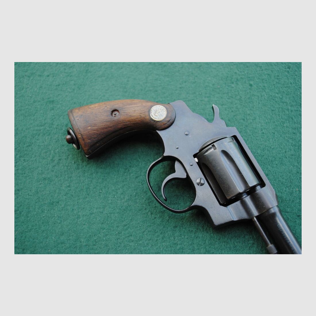 Colt Police Positive Special, Royal Hong Kong Police
