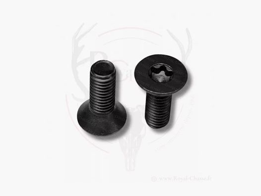 Befestigungsschraube Vorderteil R8 Professional Torx M5x14 BLASER