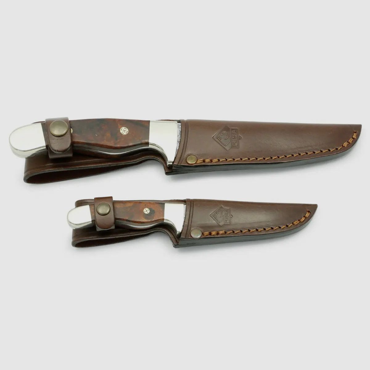 Coltello annuale PUMA 2017, limitato a 24 set n. 14