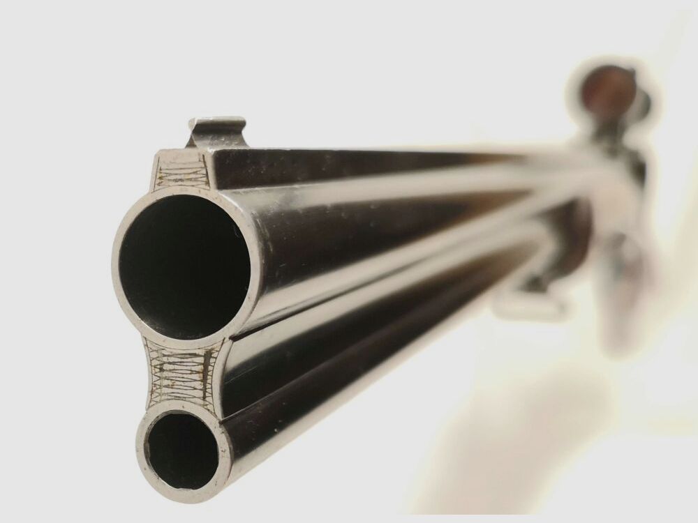 Esha R. Flückiger Switzerland - Combination rifle with interchangeable barrel