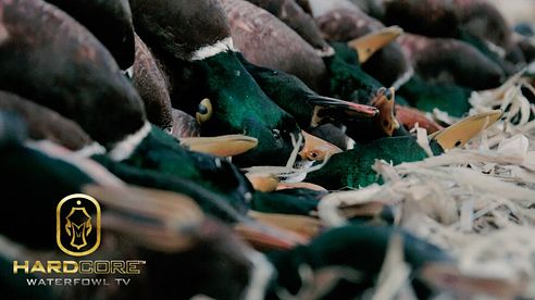 Duck Hunting: 10 Man Limit of Mallards - Hard Core Waterfowl TV Episode 3