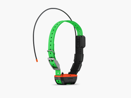 collier de repérage et dressage GPS Garmin TT25F