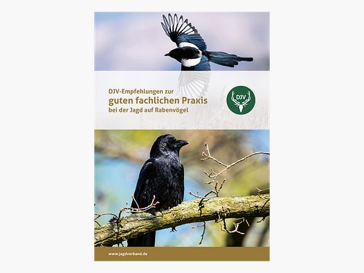 Broschüre "DJV-Empfehlungen zur guten fachlichen Praxis bei der Jagd auf Rabenvögel"