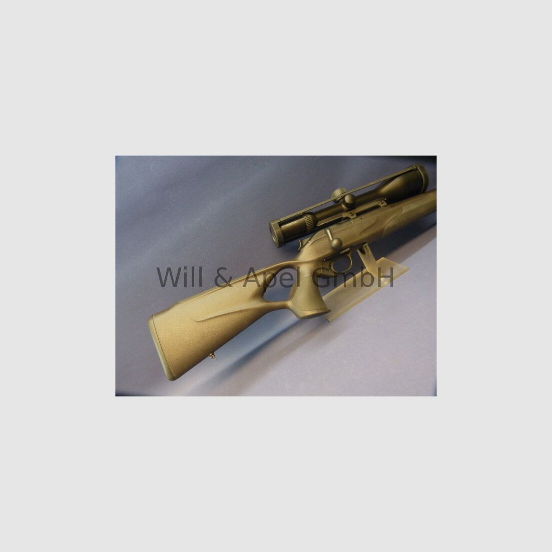 BLASER/ ISNY R8 Professional Success