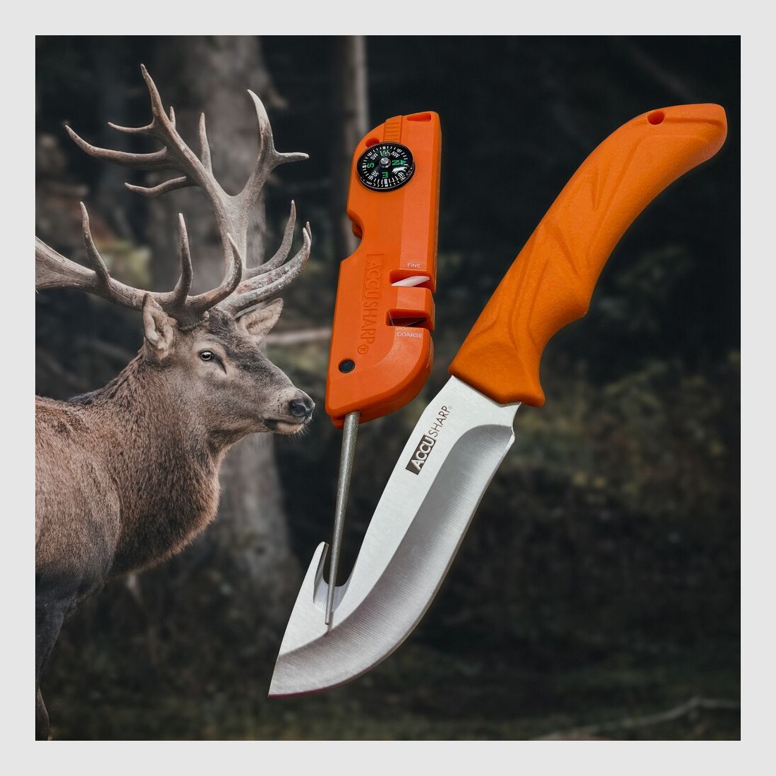 Accusharp Messerschärfer Explorer Outdoor Überlebenswerkzeug, Bild 5 von 7