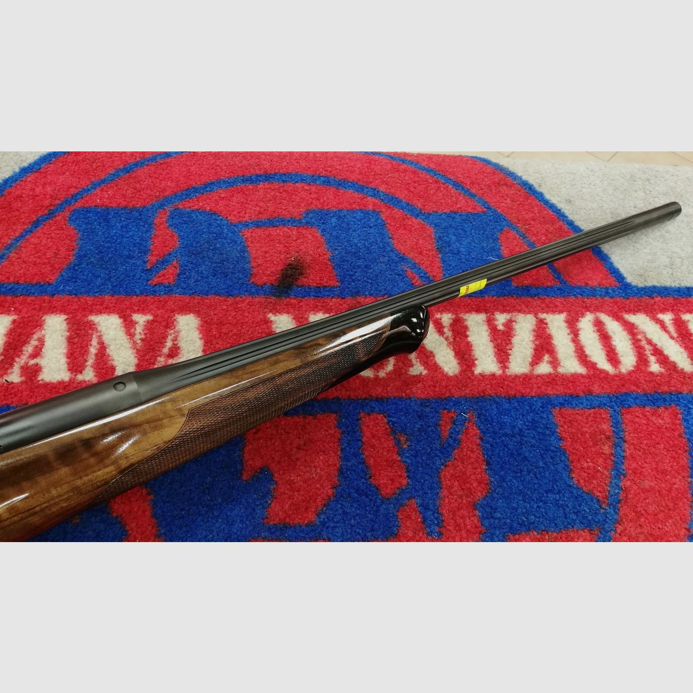 Blaser R8 SUCCESS, immagine 2 di 4