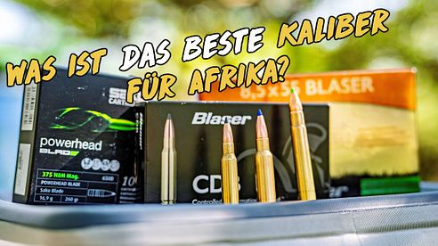 Was ist das richtige Kaliber für eine Jagd in Afrika?