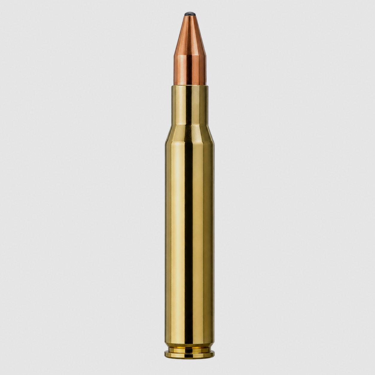 RWS Kegelspitze 165gr Kaliber .30-06 SPRG