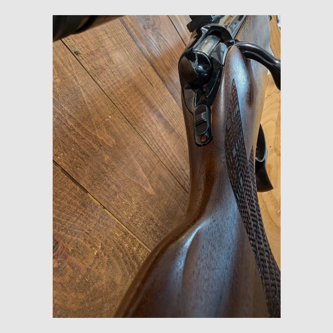 Sauer 80