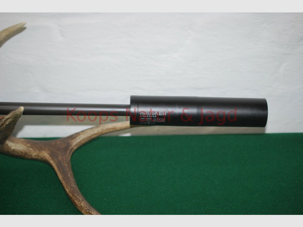 Blaser R8 Professional Success